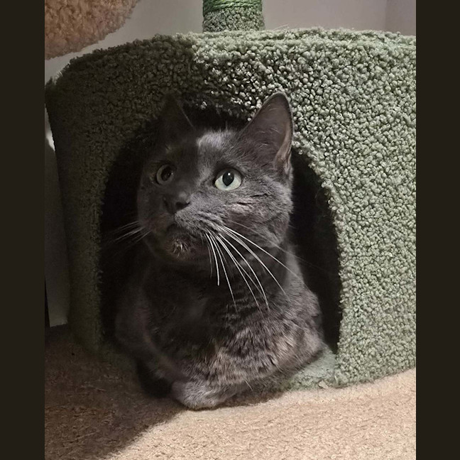 Photo of Fifi