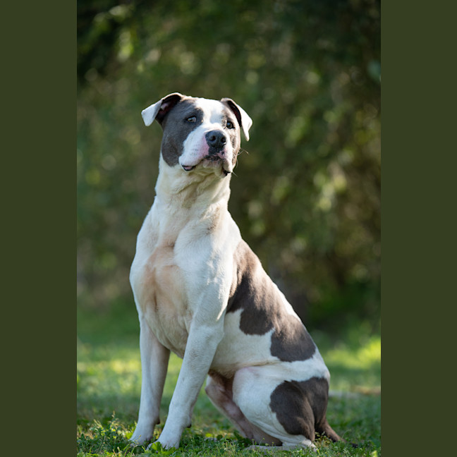 Photo of Zeus