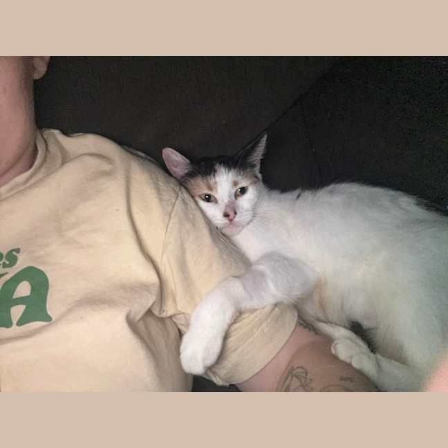 Photo of Pumpkin