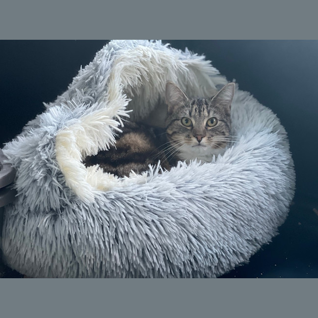 Photo of Sally Junior