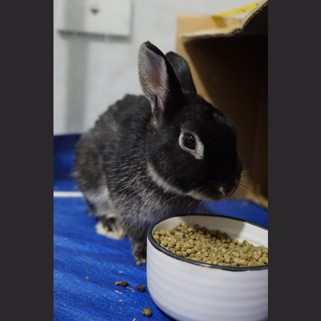 Photo of Pepper And Spice
