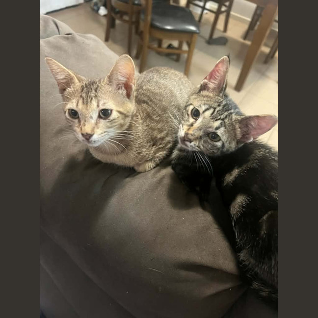 Photo of Trujillo (Trudy)