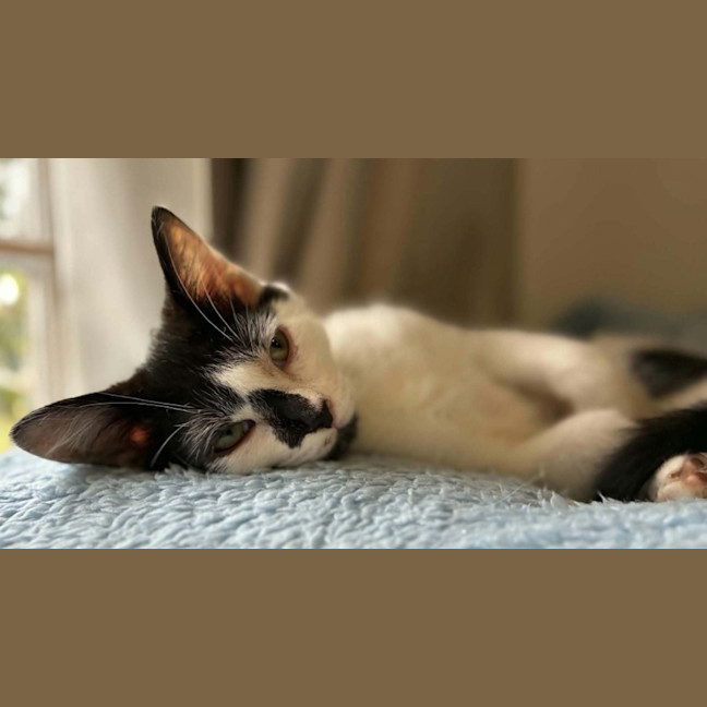 Photo of Mack