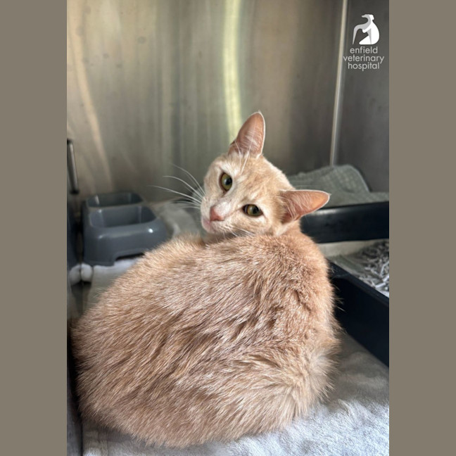 Photo of Happy Heidi