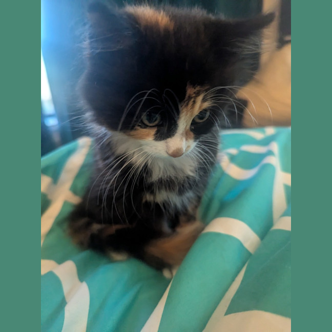 Photo of Ella & Nina 🌷🌷