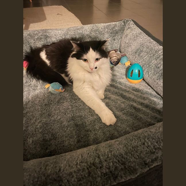 Photo of Alexa & Cindy