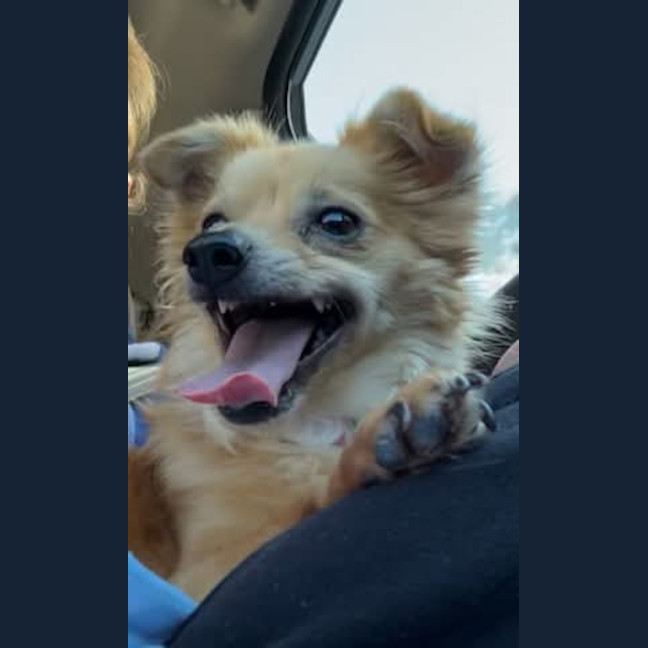 Photo of Buster