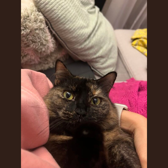 Photo of Mia