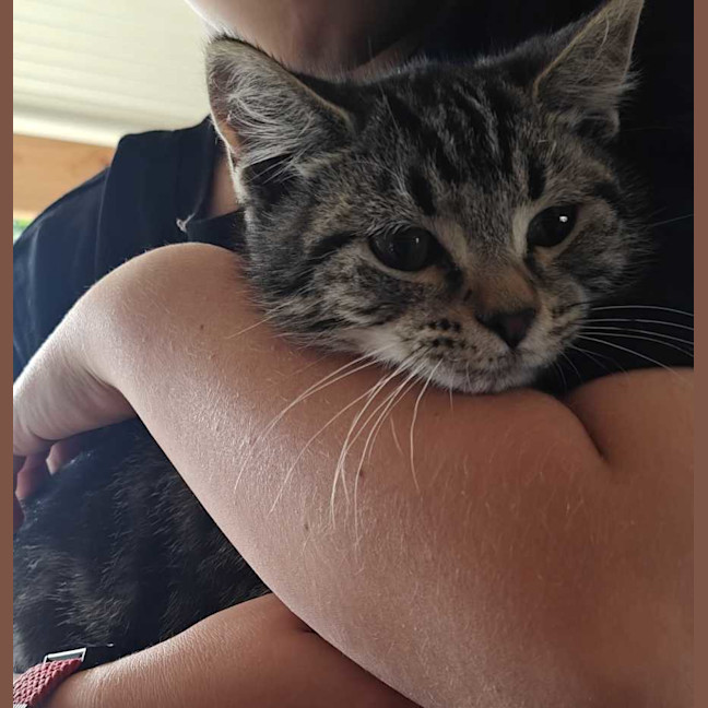 Photo of Leo