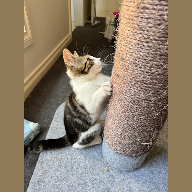 Photo of Hamish