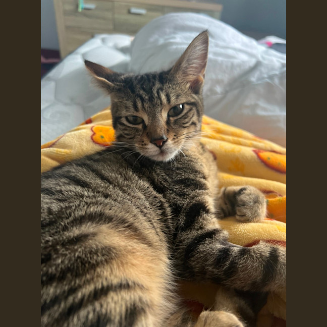 Photo of Jesse