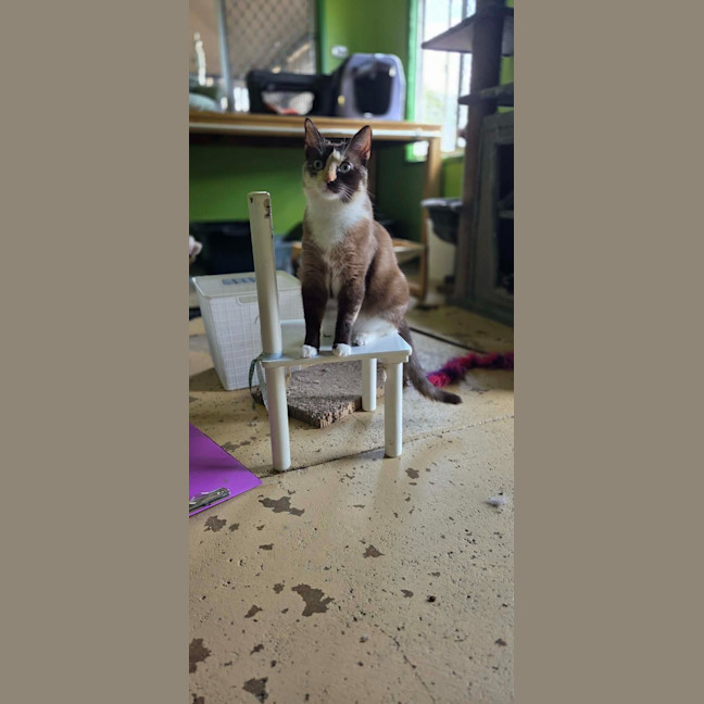 Photo of Ley Ley