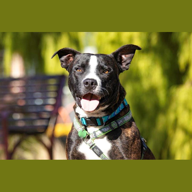 Photo of Hank Peggotty