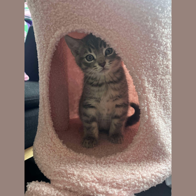 Photo of Spyro & Smokey