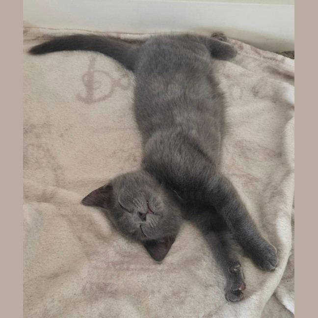 Photo of Pocket