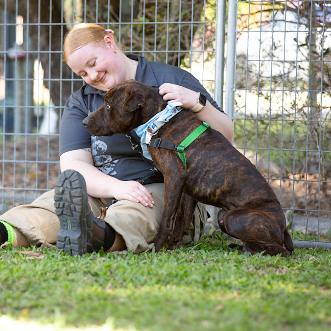 Photo of Eros