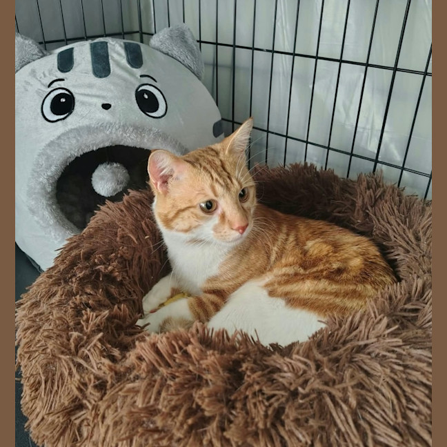 Photo of Chuey 