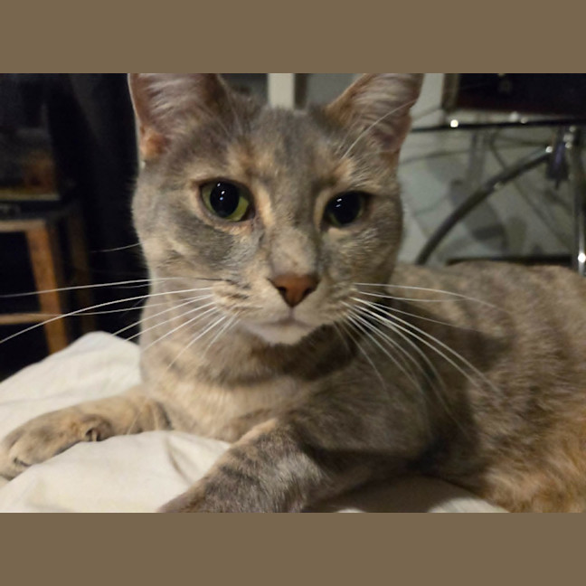 Photo of Luna