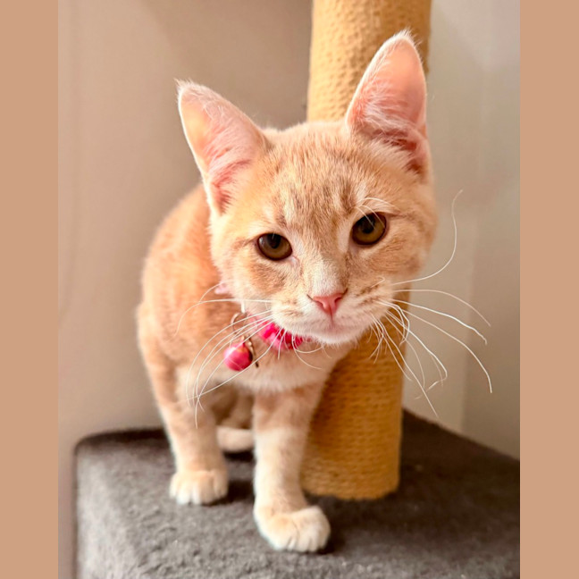 Photo of Tim Tam