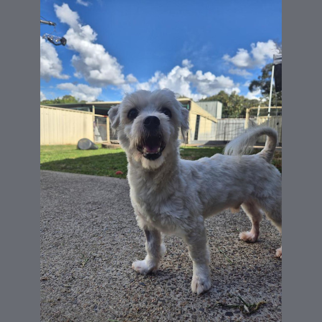 Photo of Murphy