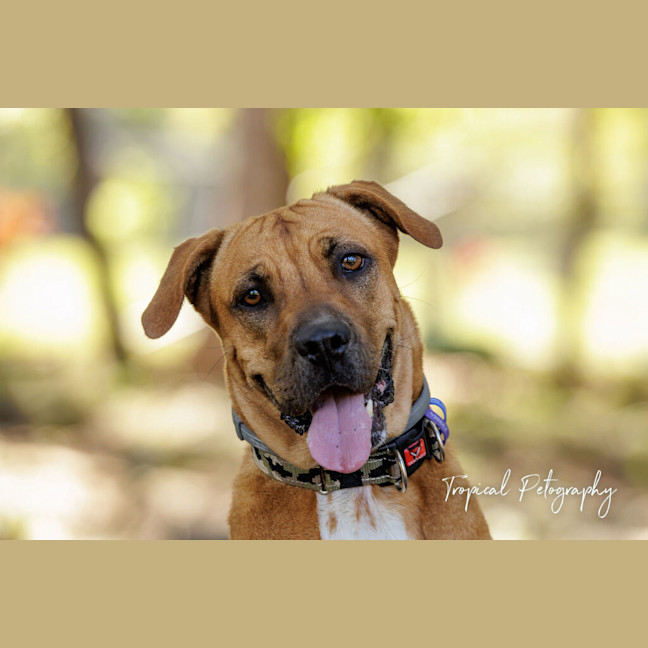 Photo of Ruby