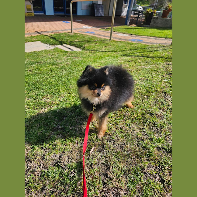 Photo of Storm