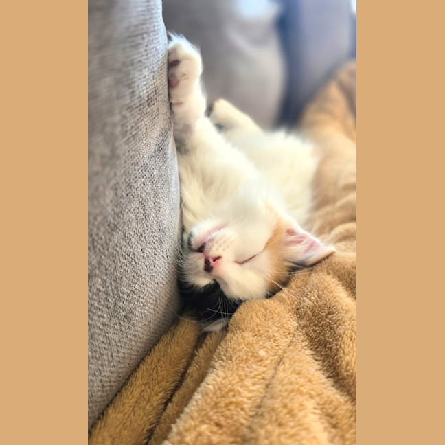 Photo of Bingo