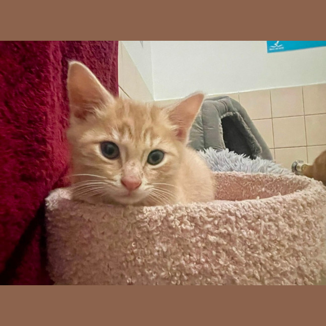 Photo of Stoic