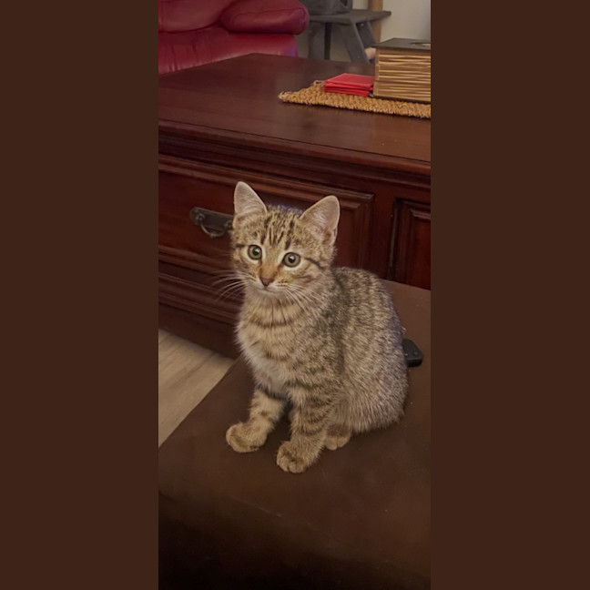 Photo of Fleur