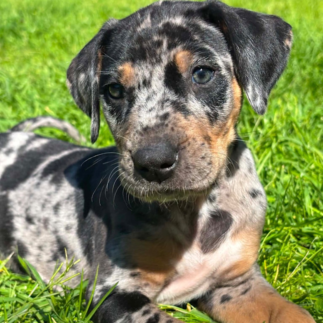 Photo of Kaiya