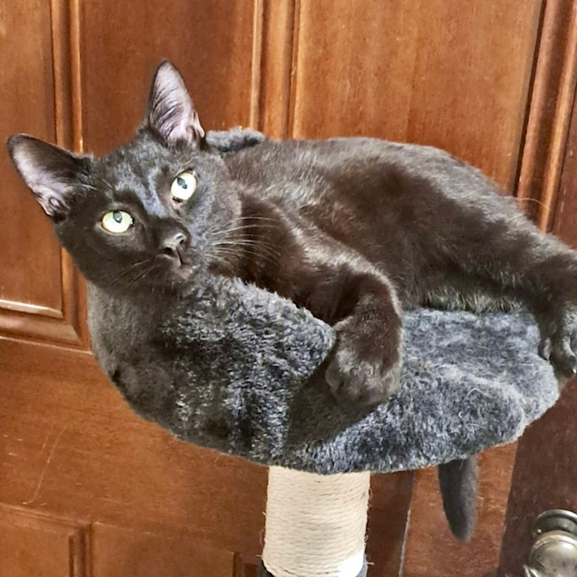 Photo of Mercury 
