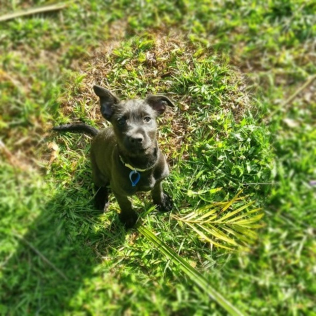 Photo of Agatha