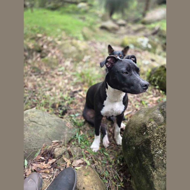 Photo of Bronson   Valentines Day Special 