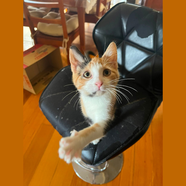 Photo of Pebbles & Carter