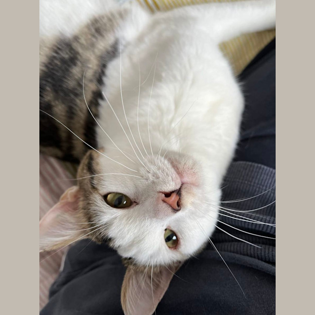 Photo of Lexi