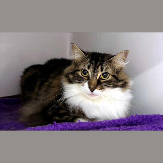 Photo of Ivy Sta012785