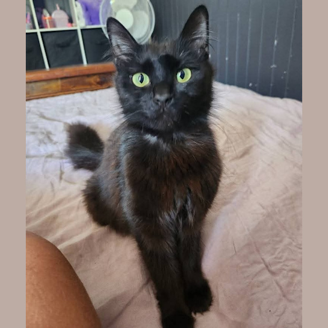 Photo of Rainbow Dash