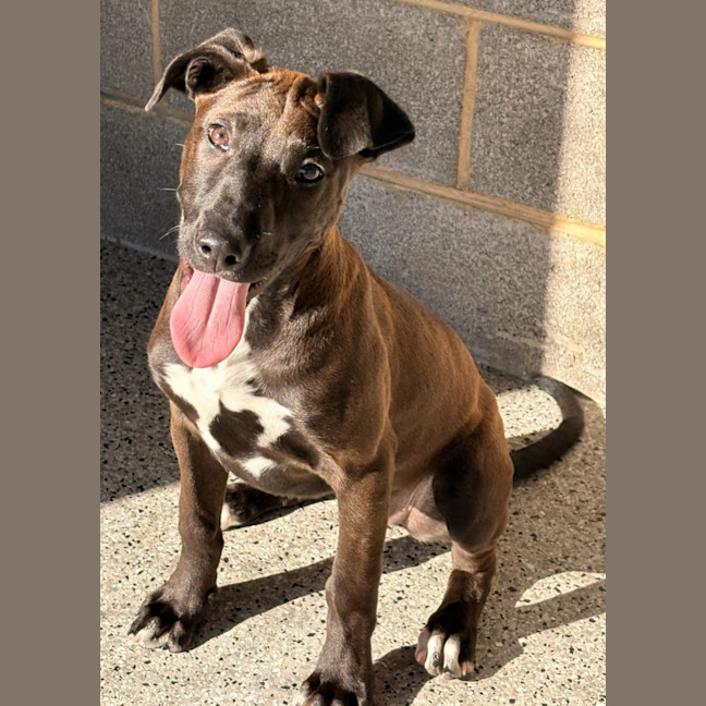 Photo of Nellie