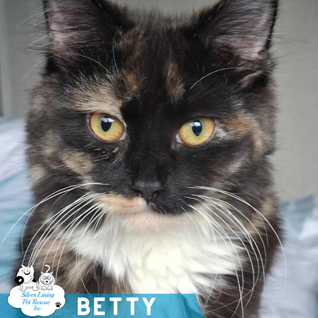 Photo of Betty