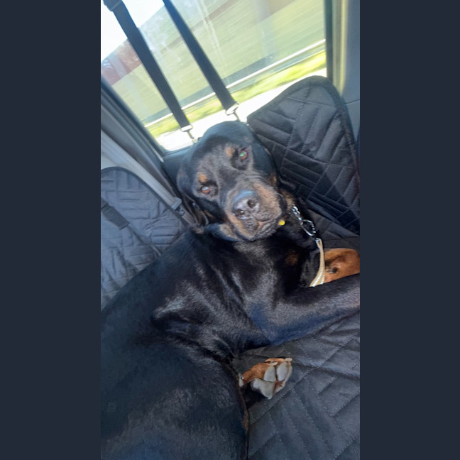 Photo of Duke