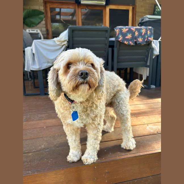 Photo of Polly