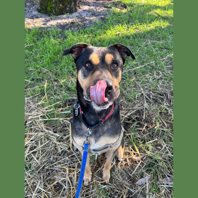 Photo of Tex 