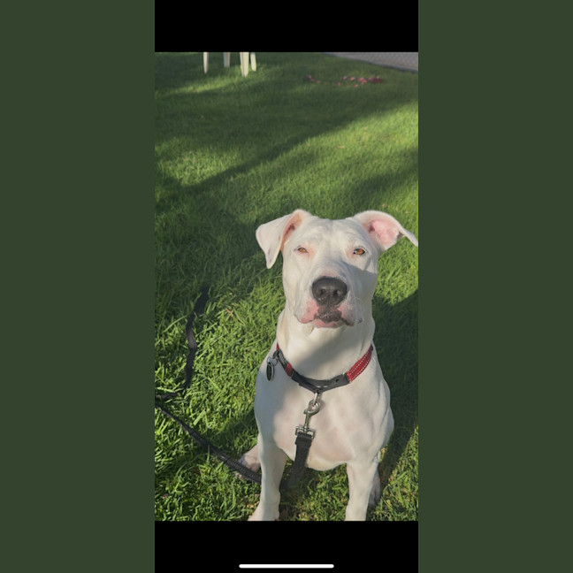 Photo of Wally