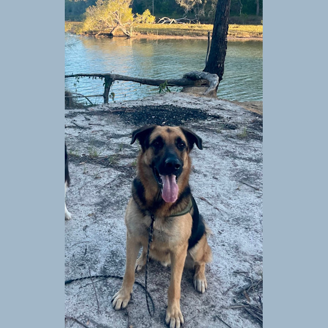 Photo of Willie