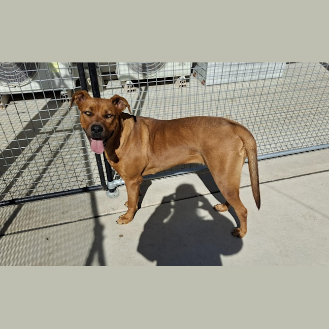 Photo of Bella 62/2026