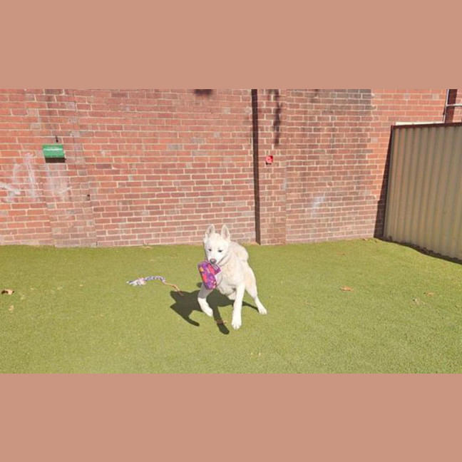 Photo of Lala