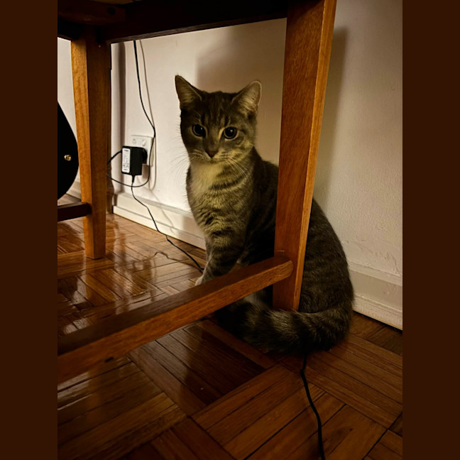 Photo of Winifred