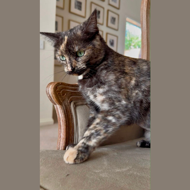 Photo of Lena