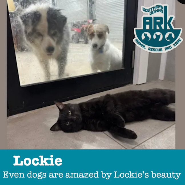 Photo of Lockie