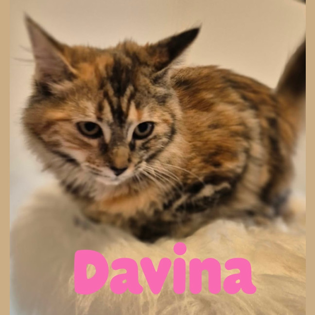 Photo of Davina